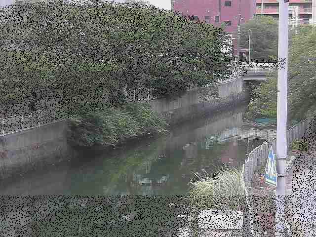 石崎橋付近のカメラ画像