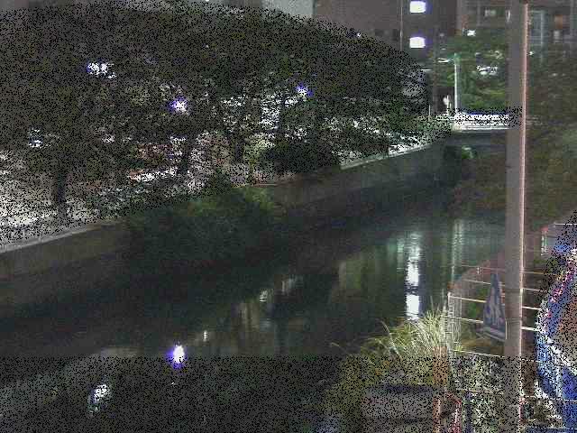石崎橋付近のカメラ画像