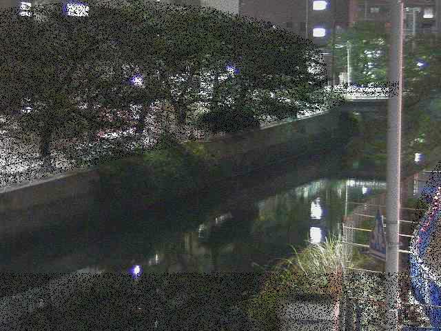 石崎川 石崎橋付近のカメラ画像