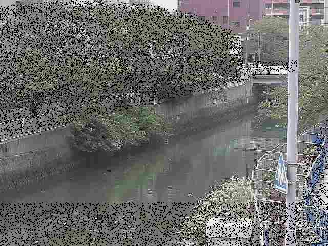 石崎橋付近のカメラ画像