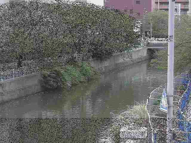 石崎橋付近のカメラ画像