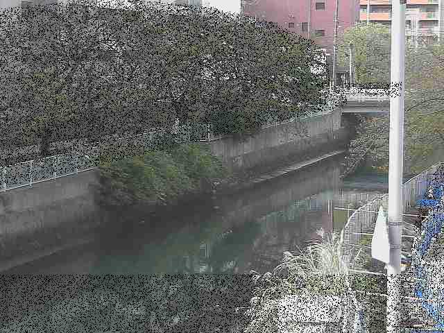 石崎橋付近のカメラ画像