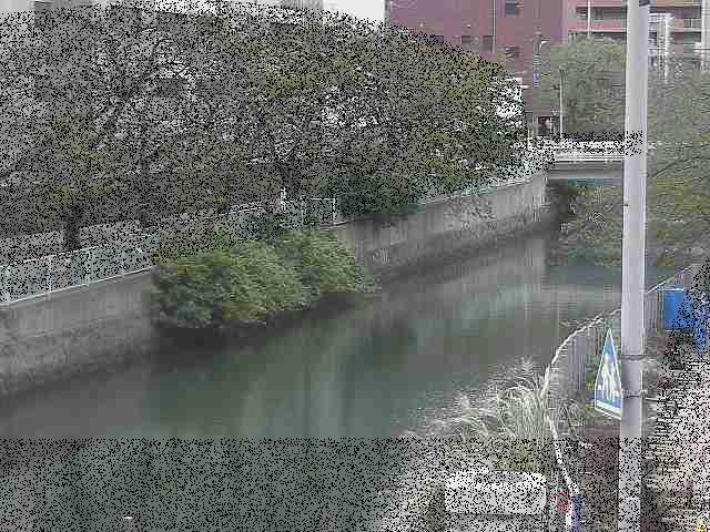 石崎川 石崎橋付近のカメラ画像