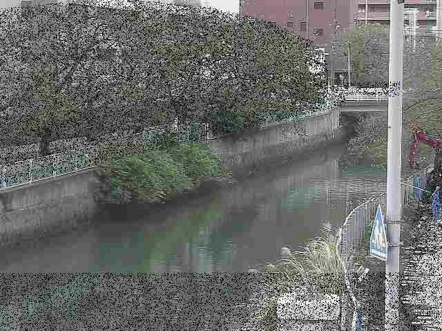 石崎川 石崎橋付近のカメラ画像