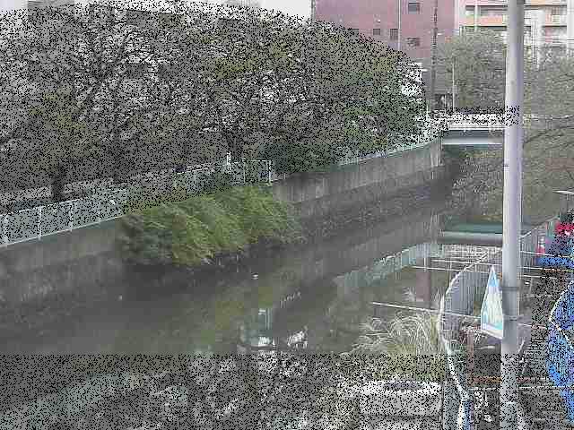 石崎橋付近のカメラ画像