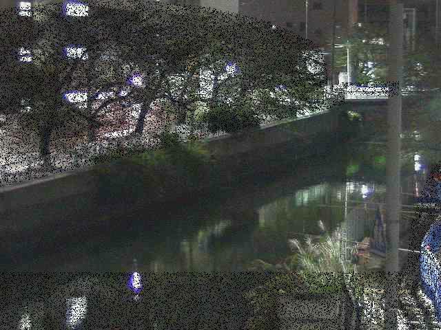 石崎橋付近のカメラ画像
