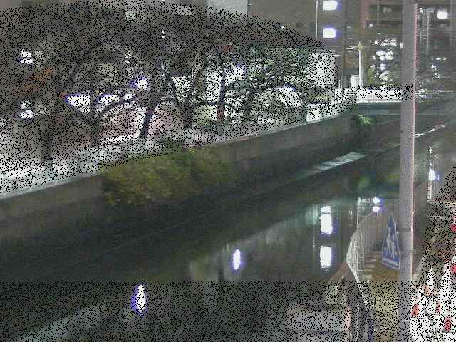 石崎橋付近のカメラ画像