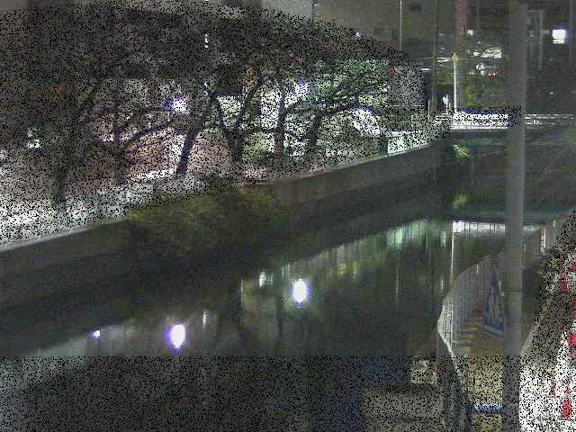 石崎川 石崎橋付近のカメラ画像