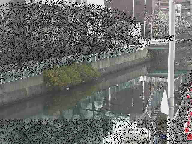 石崎橋付近のカメラ画像