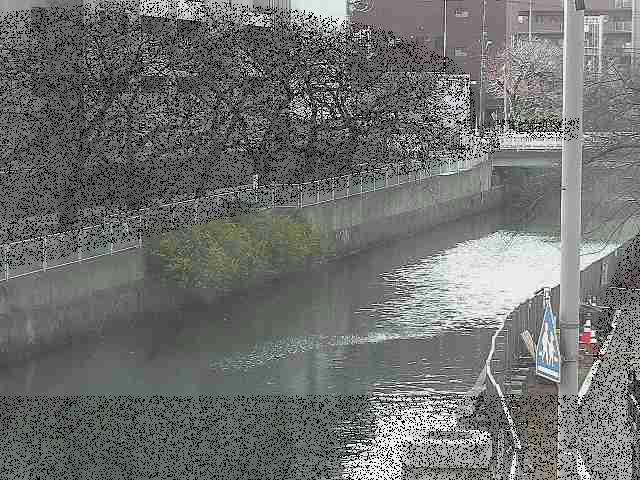 石崎橋付近のカメラ画像