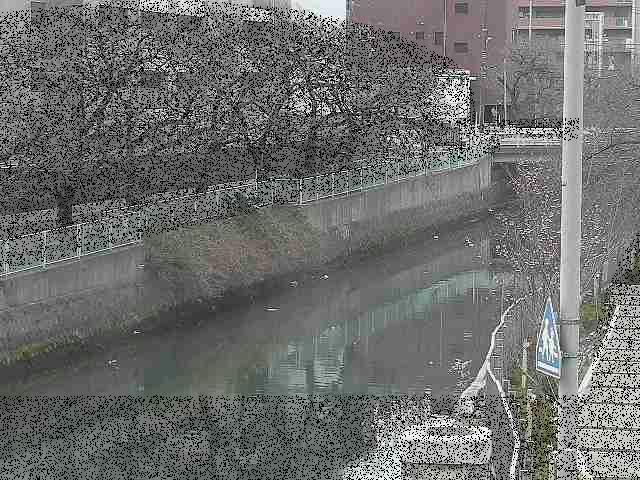 石崎川 石崎橋付近のカメラ画像