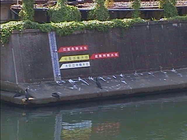 元平沼橋付近のカメラ画像