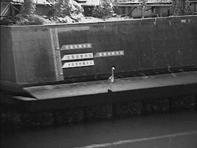 元平沼橋付近のカメラ画像