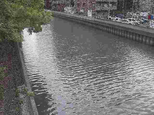 新田間橋付近のカメラ画像