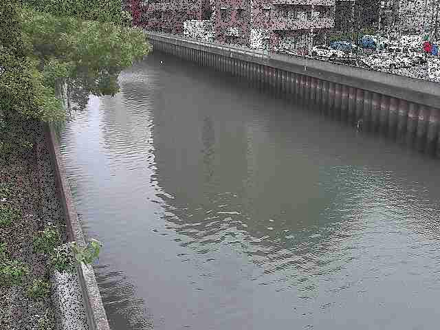 新田間橋付近のカメラ画像
