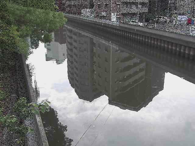 新田間橋付近のカメラ画像