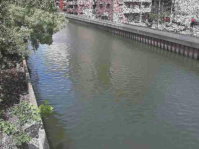 新田間橋付近のカメラ画像