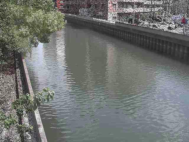 新田間川 新田間橋付近のカメラ画像