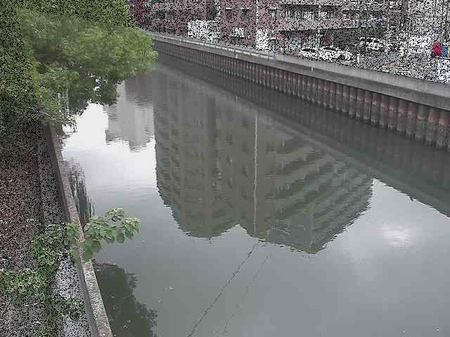 新田間川 新田間橋付近のカメラ画像