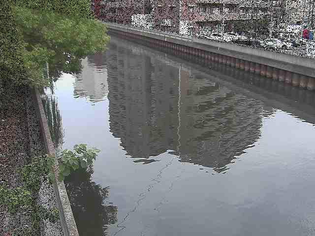 新田間橋付近のカメラ画像