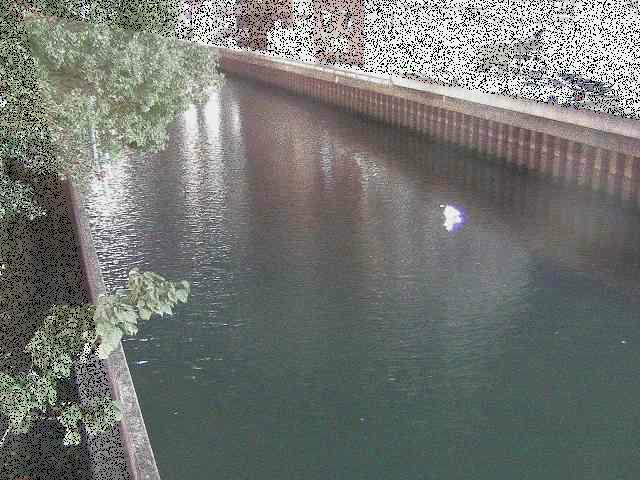 新田間橋付近のカメラ画像