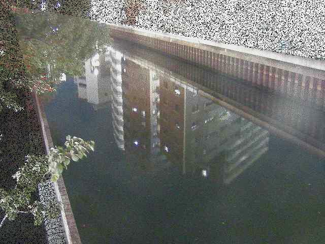 新田間橋付近のカメラ画像