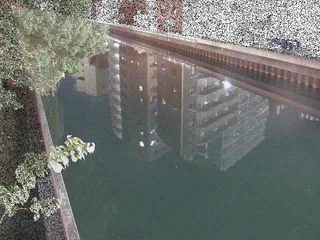 新田間川 新田間橋付近のカメラ画像