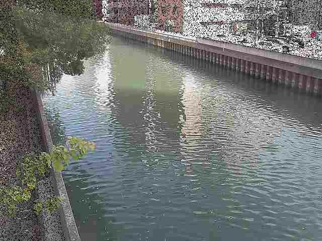 新田間橋付近のカメラ画像