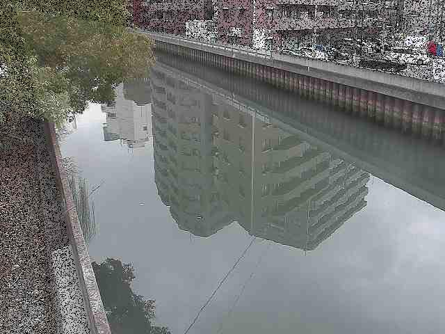新田間川 新田間橋付近のカメラ画像