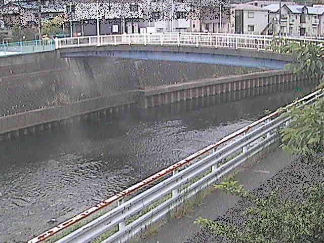 柏尾川 鷹匠橋付近のカメラ画像