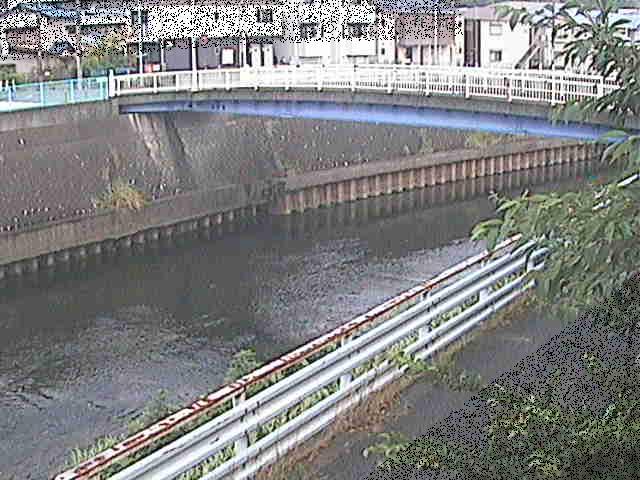 柏尾川 鷹匠橋付近のカメラ画像