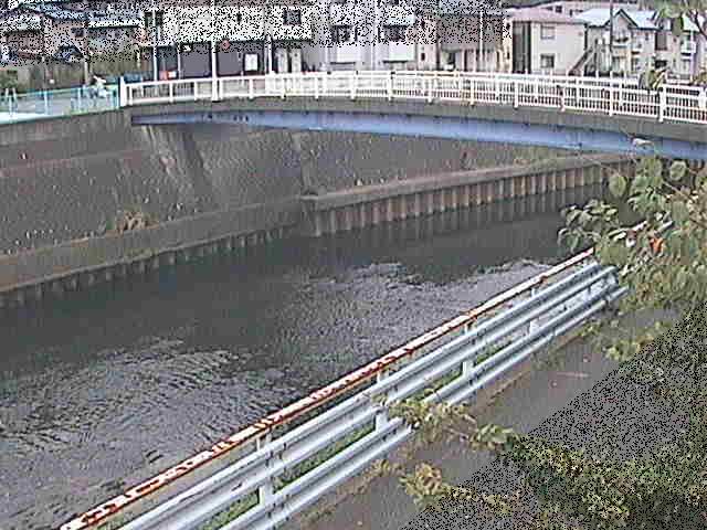 柏尾川 鷹匠橋付近のカメラ画像