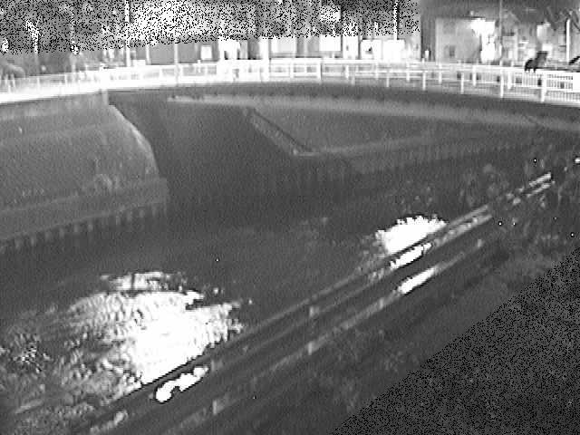 柏尾川 鷹匠橋付近のカメラ画像