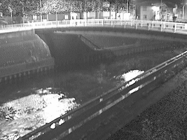 柏尾川 鷹匠橋付近のカメラ画像