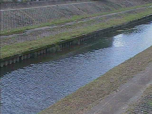 柏尾川 元町橋付近のカメラ画像