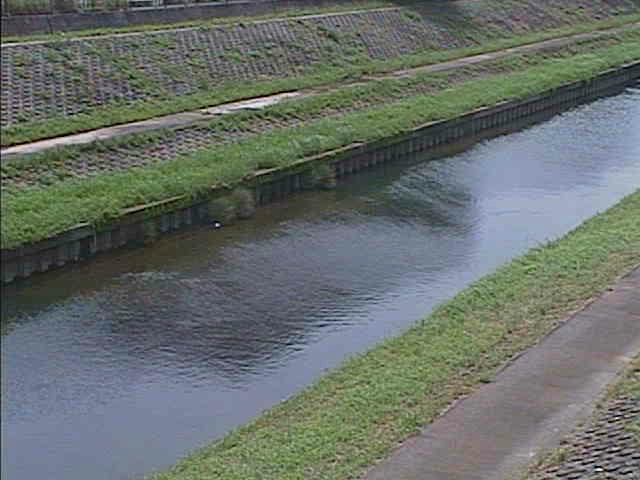元町橋付近のカメラ画像