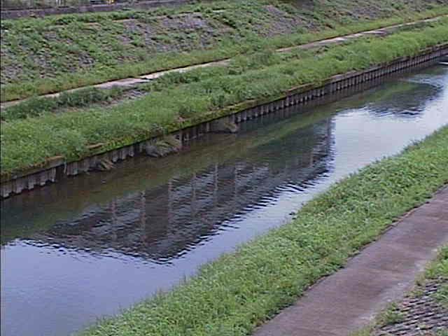 元町橋付近のカメラ画像