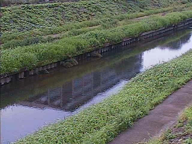 柏尾川 元町橋付近のカメラ画像