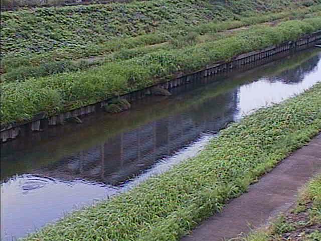 元町橋付近のカメラ画像