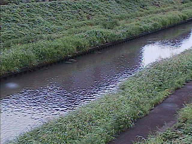元町橋付近のカメラ画像