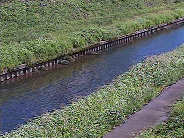 元町橋付近のカメラ画像