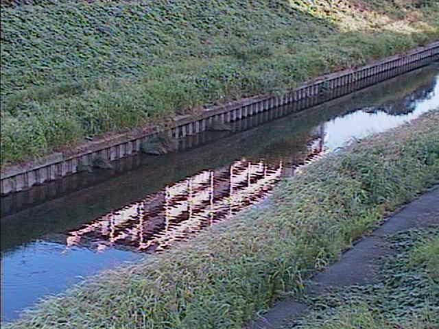 柏尾川 元町橋付近のカメラ画像