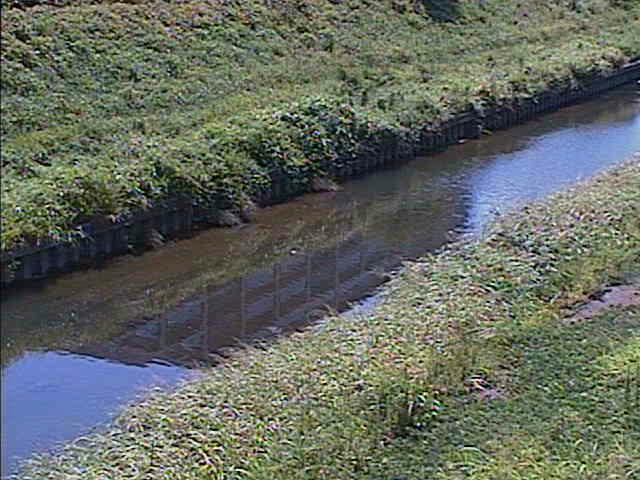 柏尾川 元町橋付近のカメラ画像