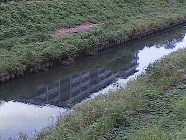 柏尾川 元町橋付近のカメラ画像