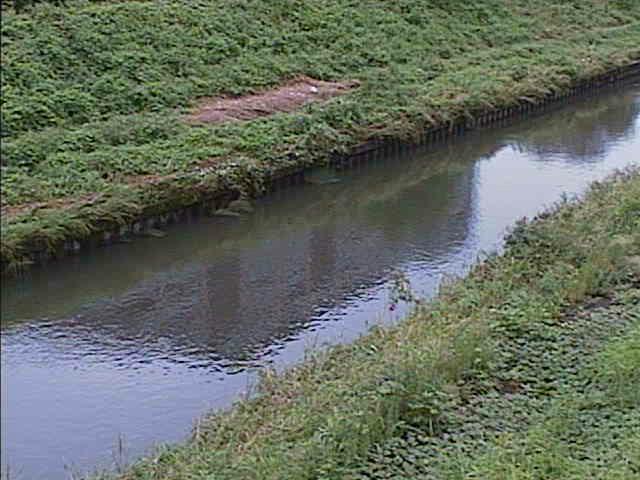 元町橋付近のカメラ画像