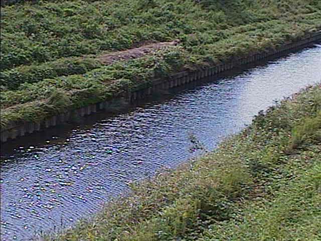柏尾川 元町橋付近のカメラ画像