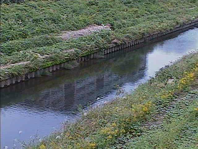柏尾川 元町橋付近のカメラ画像