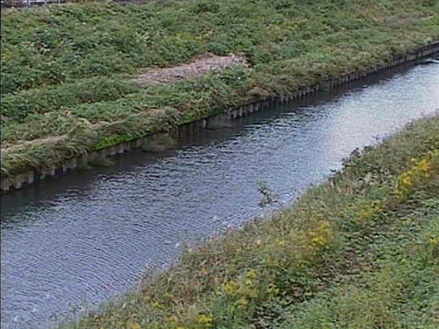 柏尾川 元町橋付近のカメラ画像