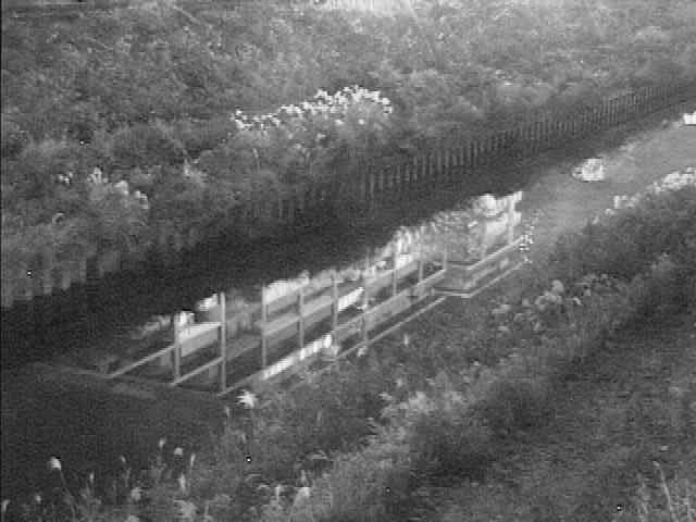 元町橋付近のカメラ画像