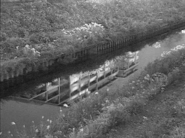 元町橋付近のカメラ画像